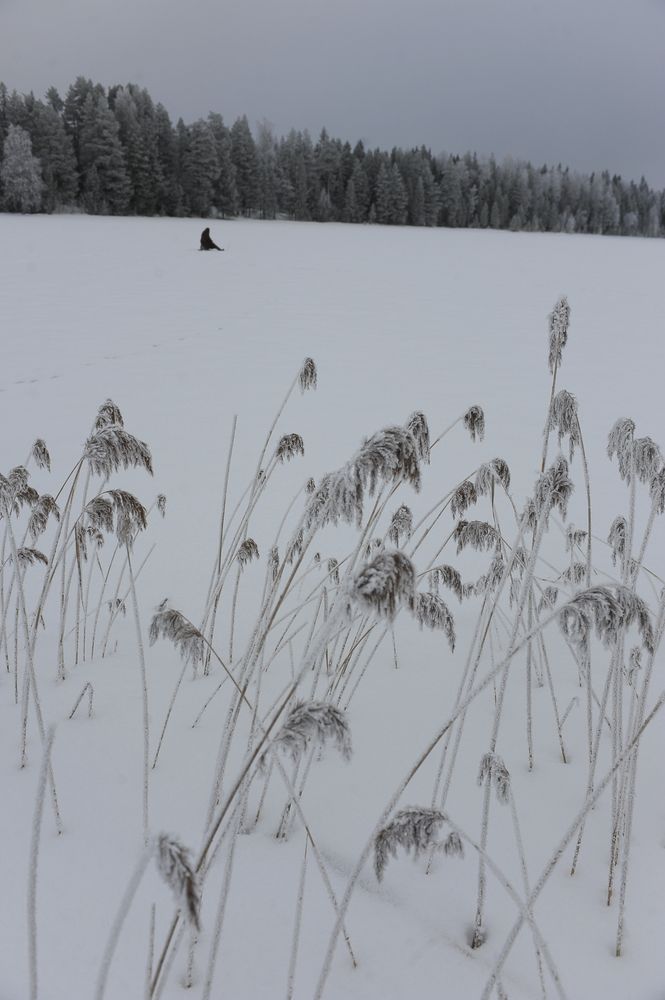 Photograph by Геннадий Тикка