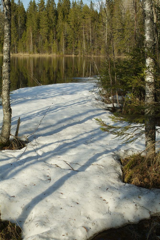 Photograph by Геннадий Тикка