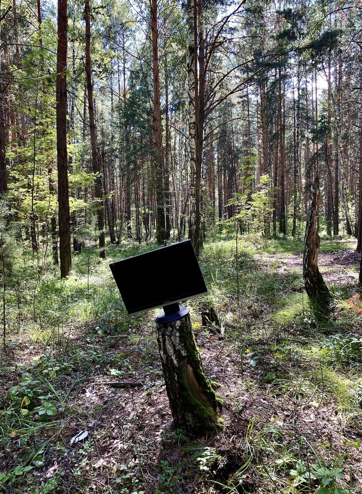 Photograph by Татьяна Шитлина