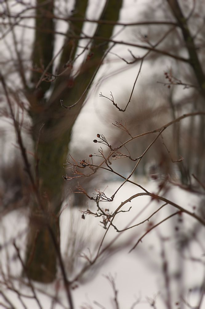 Photograph by Ирина