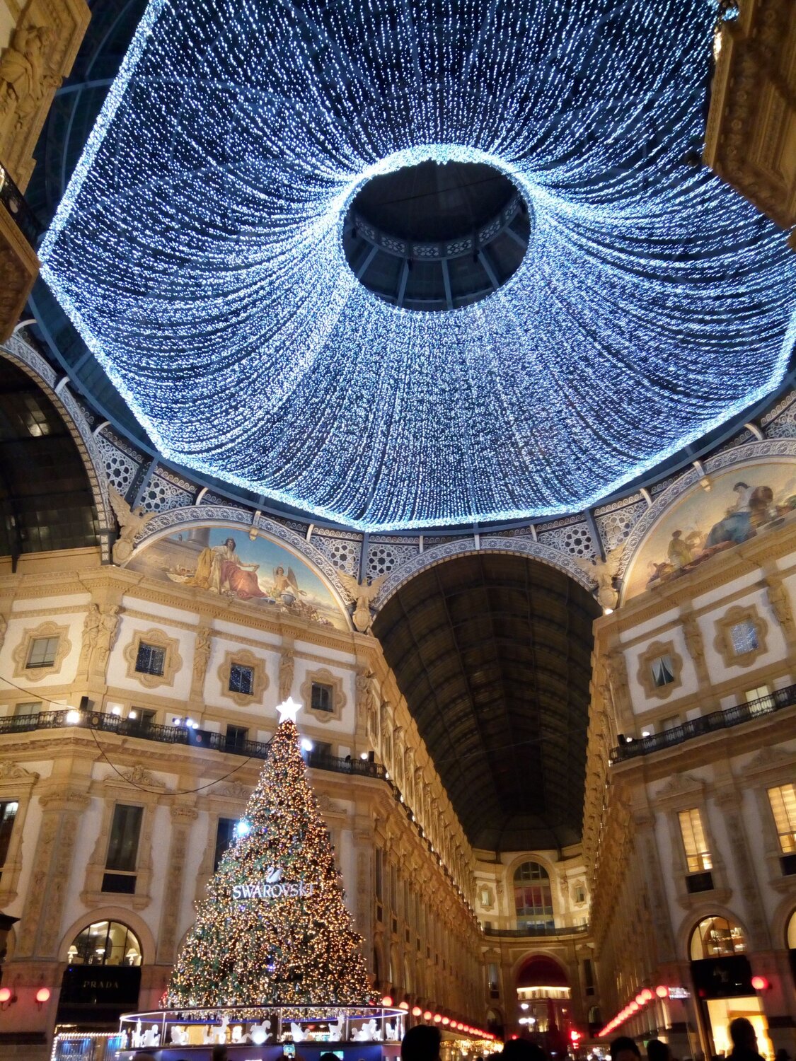 Photo #11825414