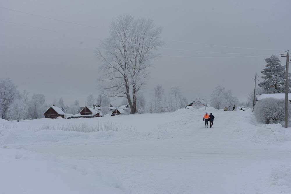Photograph by Геннадий Тикка