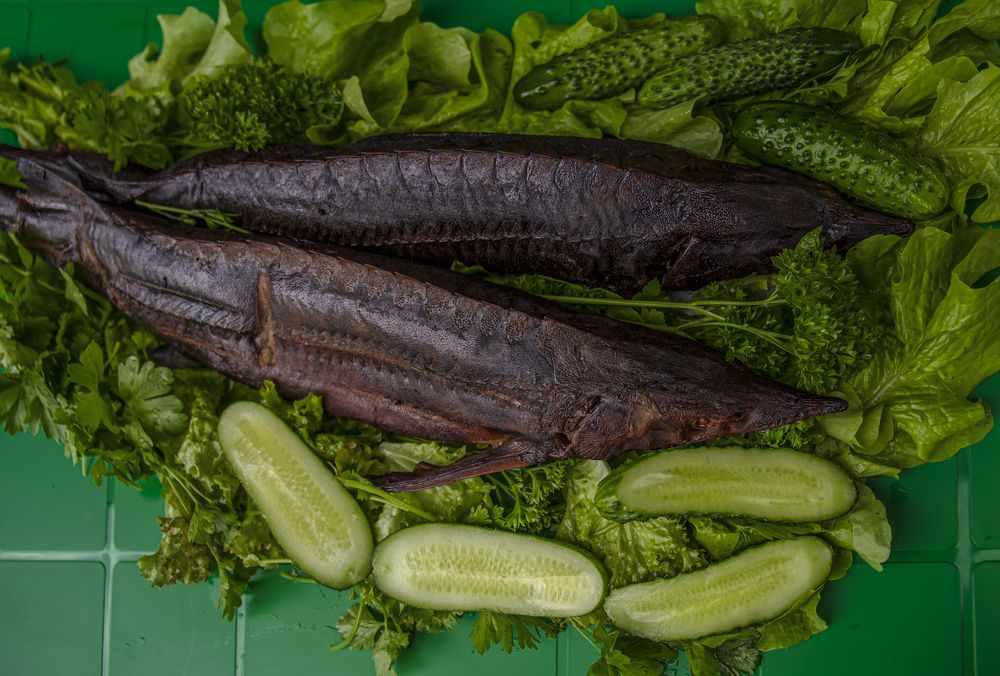 Photograph by Светлана Карнаух