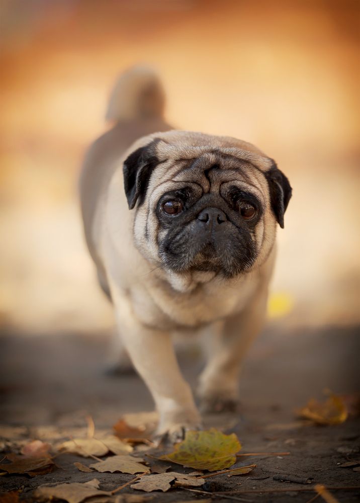 Photograph by Ирина