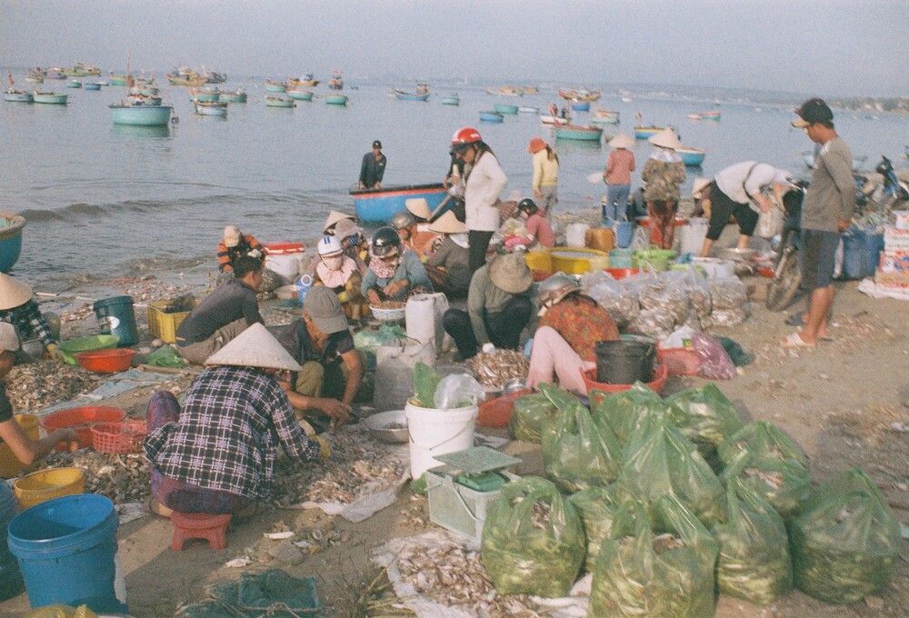 Фотография автора Nam Phạm