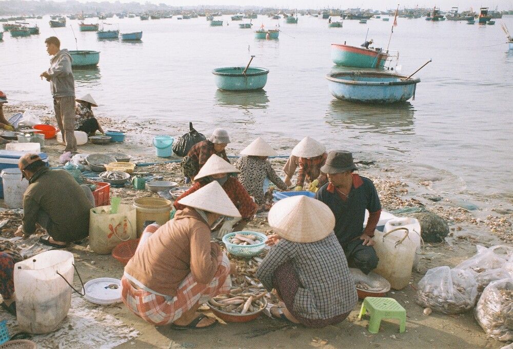 Фотография автора Nam Phạm