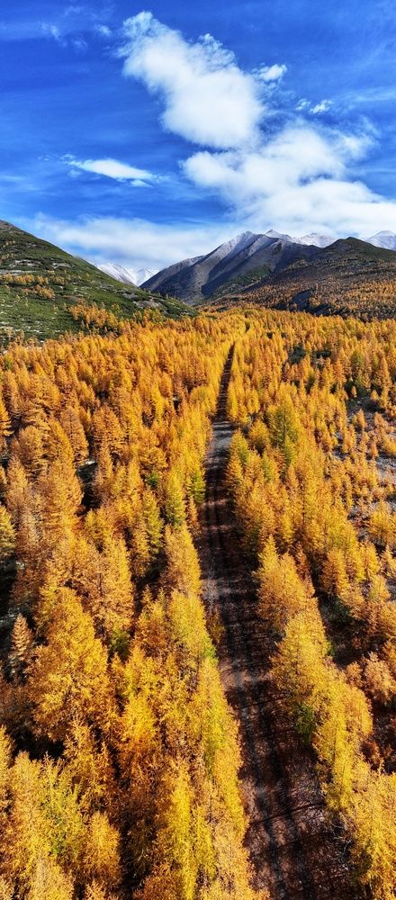 Фотография автора Юлия Егорова