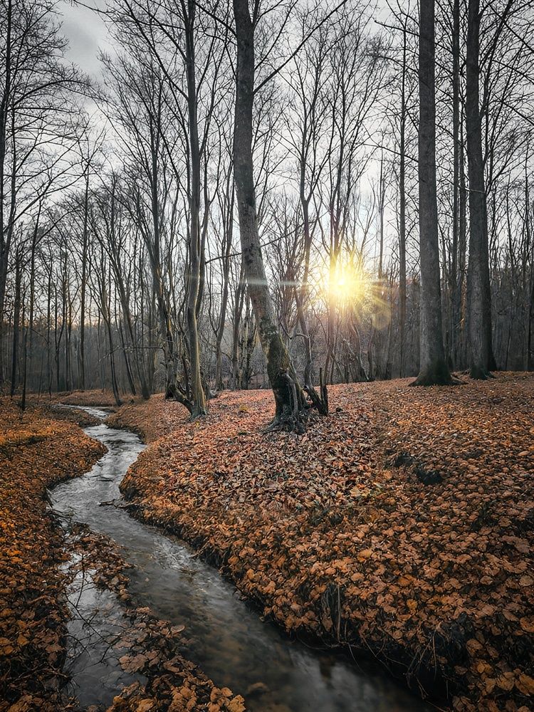 Фотография автора Naser Rezeian