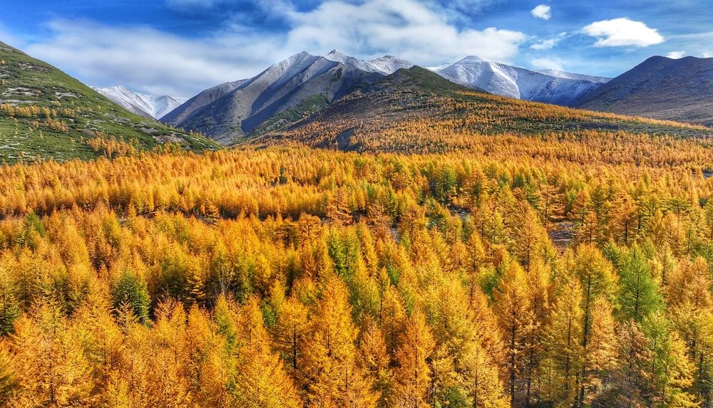 Фотография автора Юлия Егорова