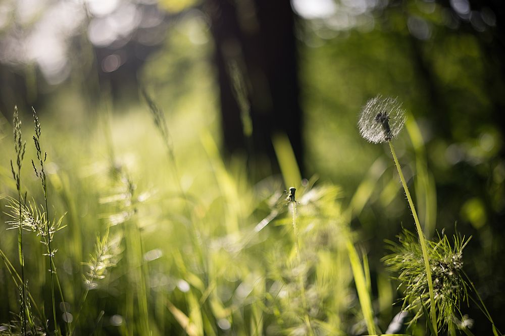 Photograph by Ирина