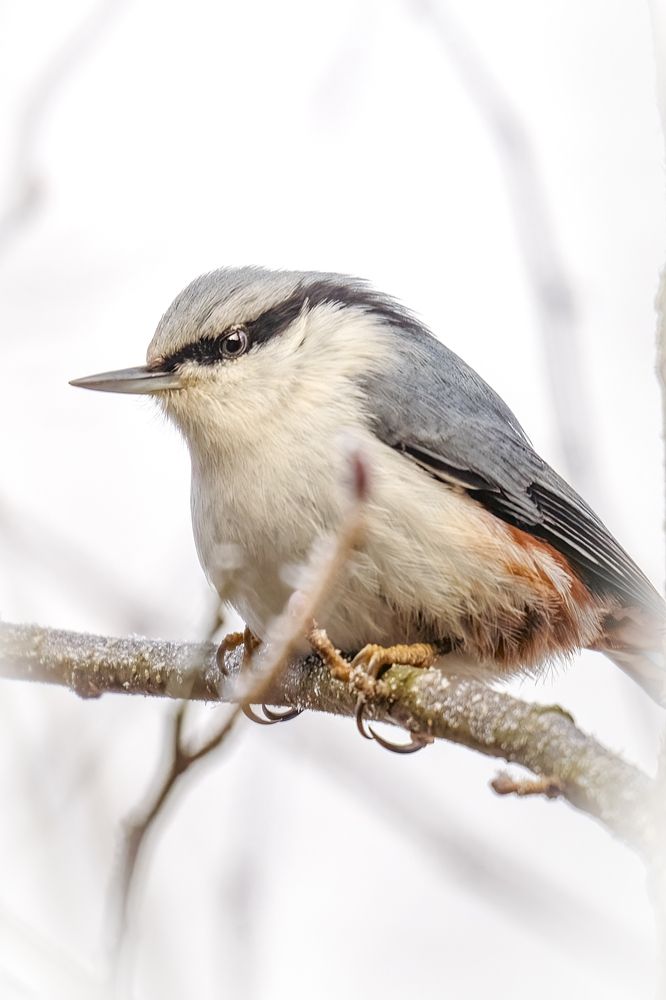 Photograph by Aleksandr Solovev