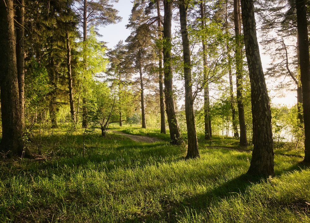 Photograph by Загруев Михаил