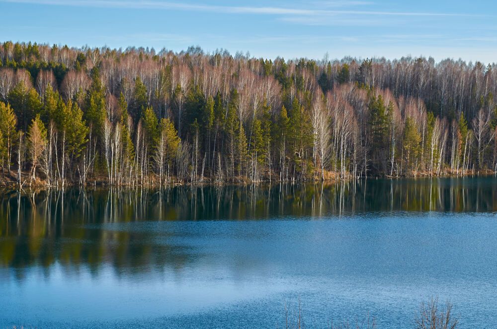 Фотография автора Сергей Королёв