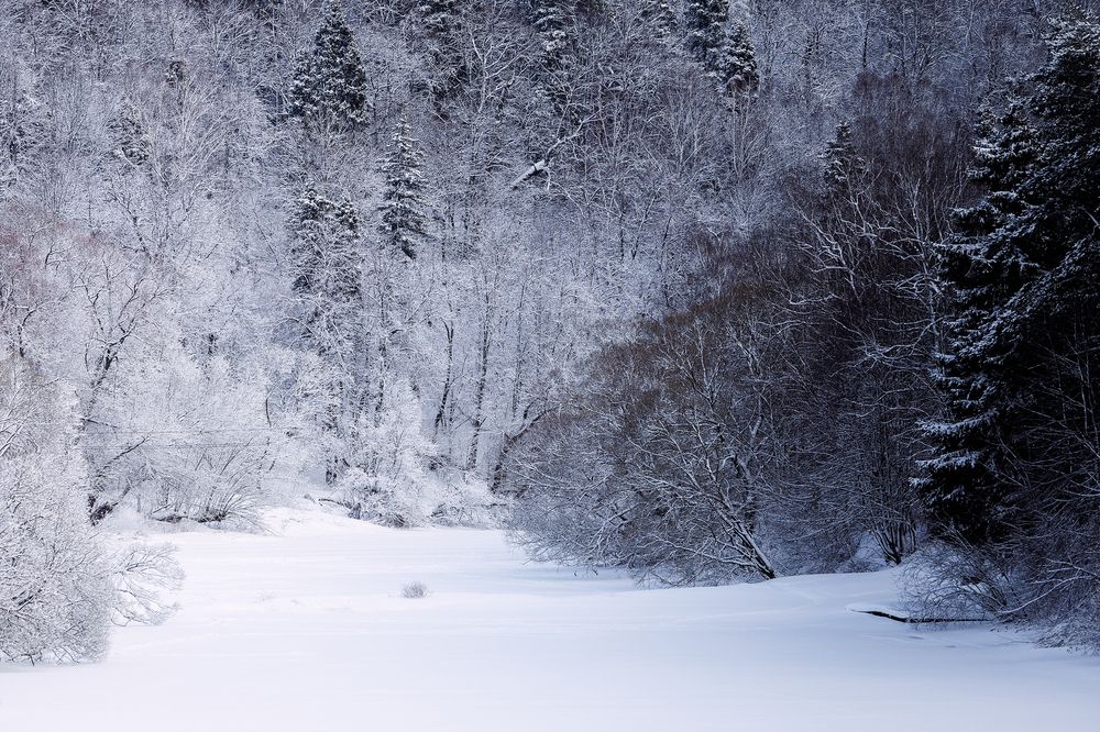 Photograph by Загруев Михаил