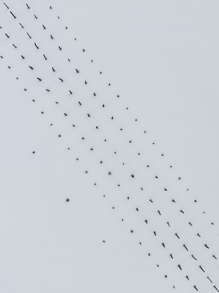 Photograph by Igor Dydkovskiy