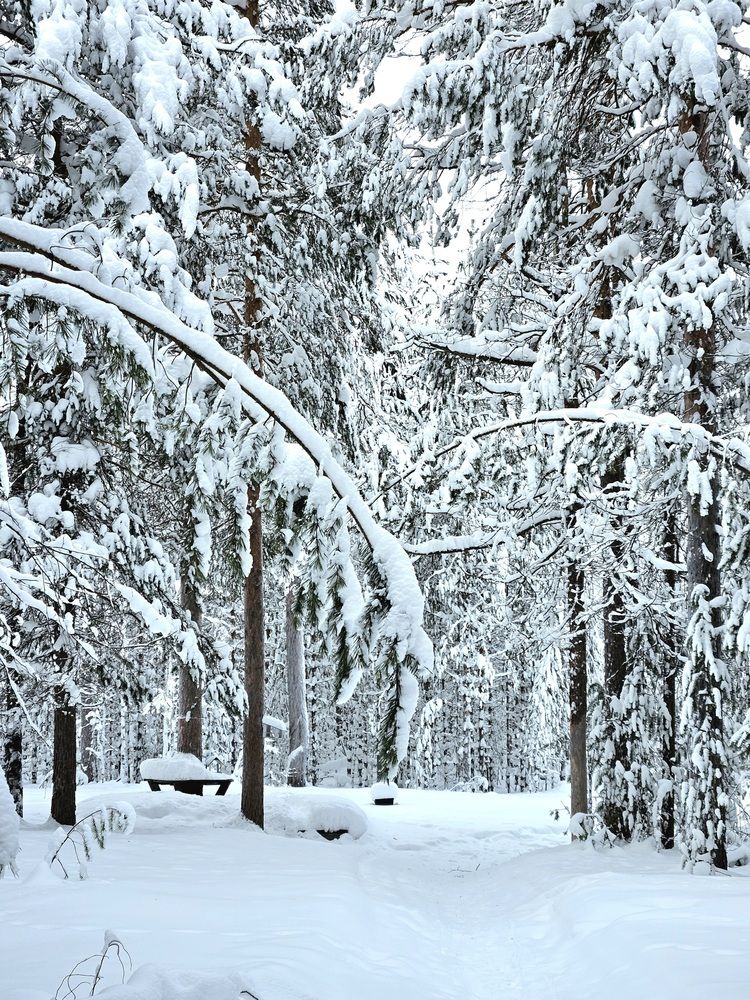 Photograph by Светлана Широкова