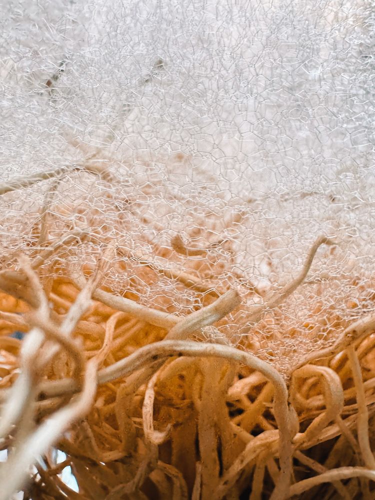 Photograph by Алёна Яцкевич