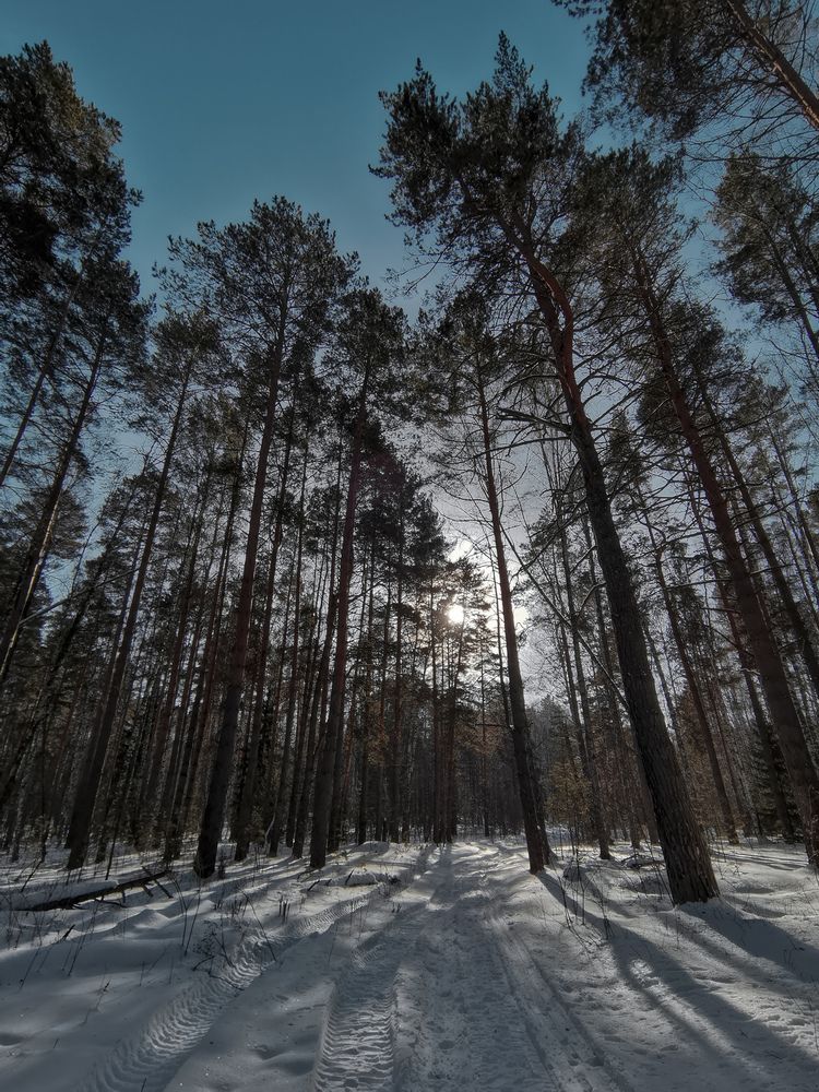 Photograph by Oxana Kostsova