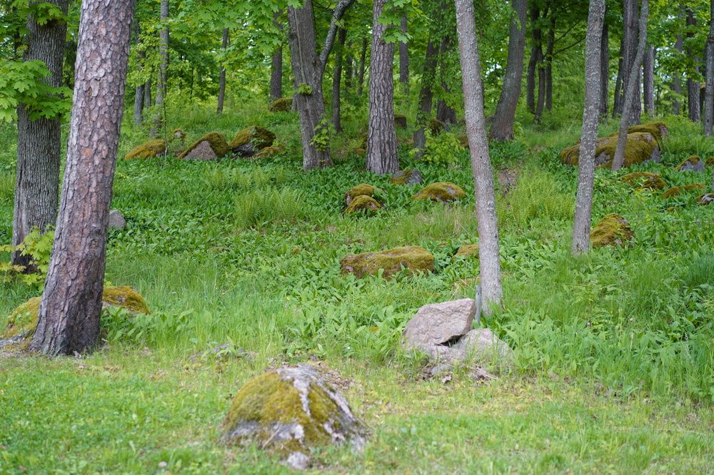 Фотография автора Ирина Кокшарова