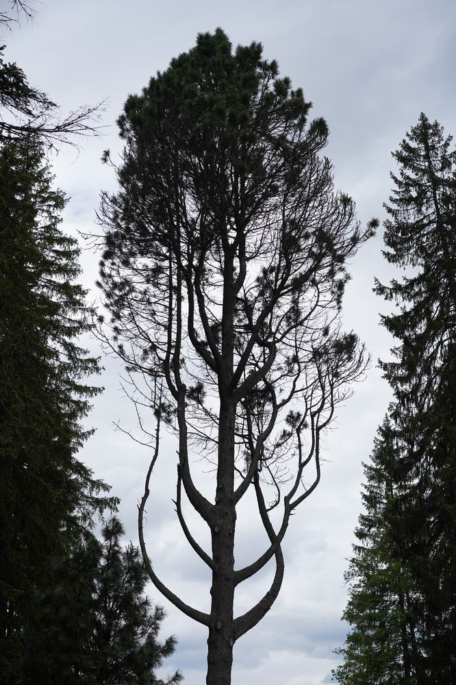 Фотография автора Ирина Кокшарова