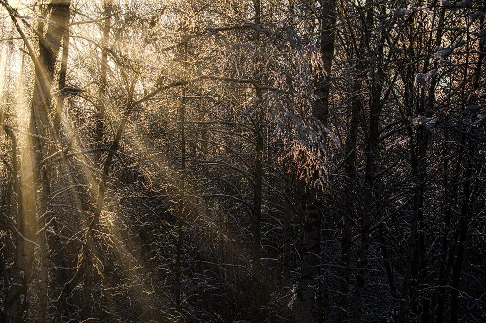 Photograph by Александр Катюрин