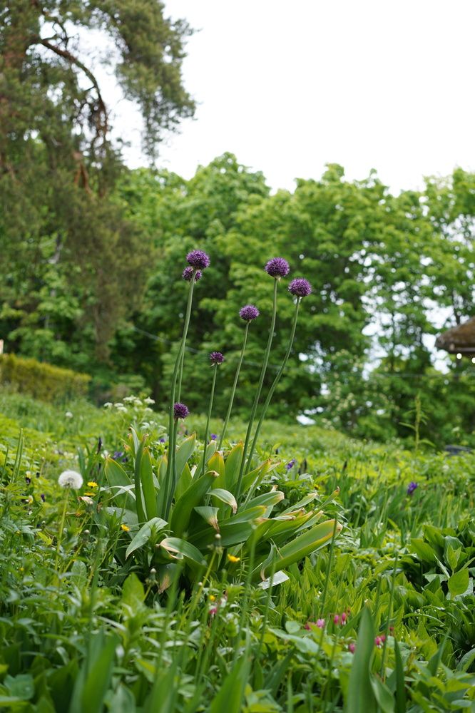 Фотография автора Ирина Кокшарова