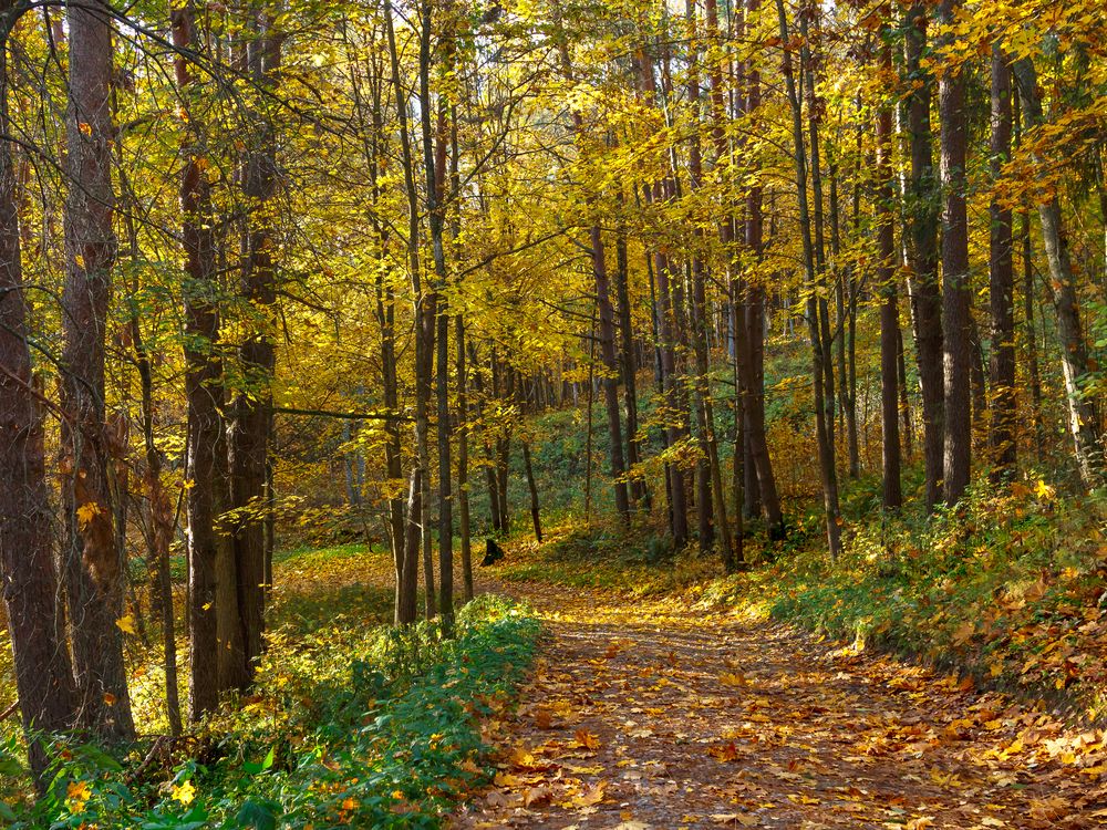 Photograph by Наталья Колеватова