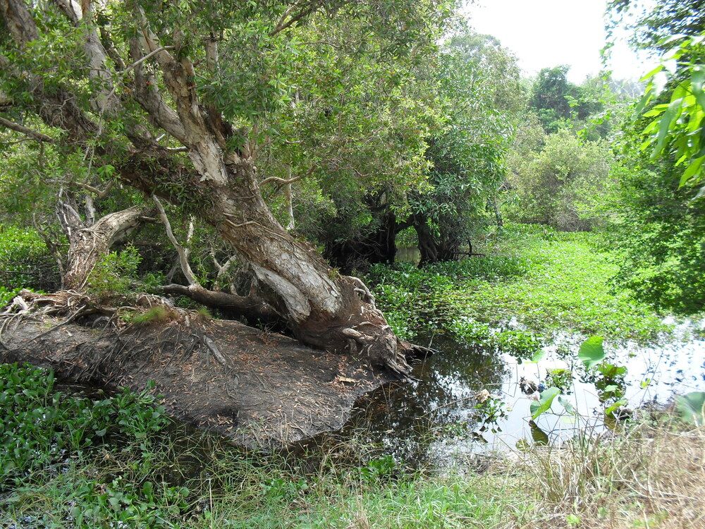 Photograph by Наталия