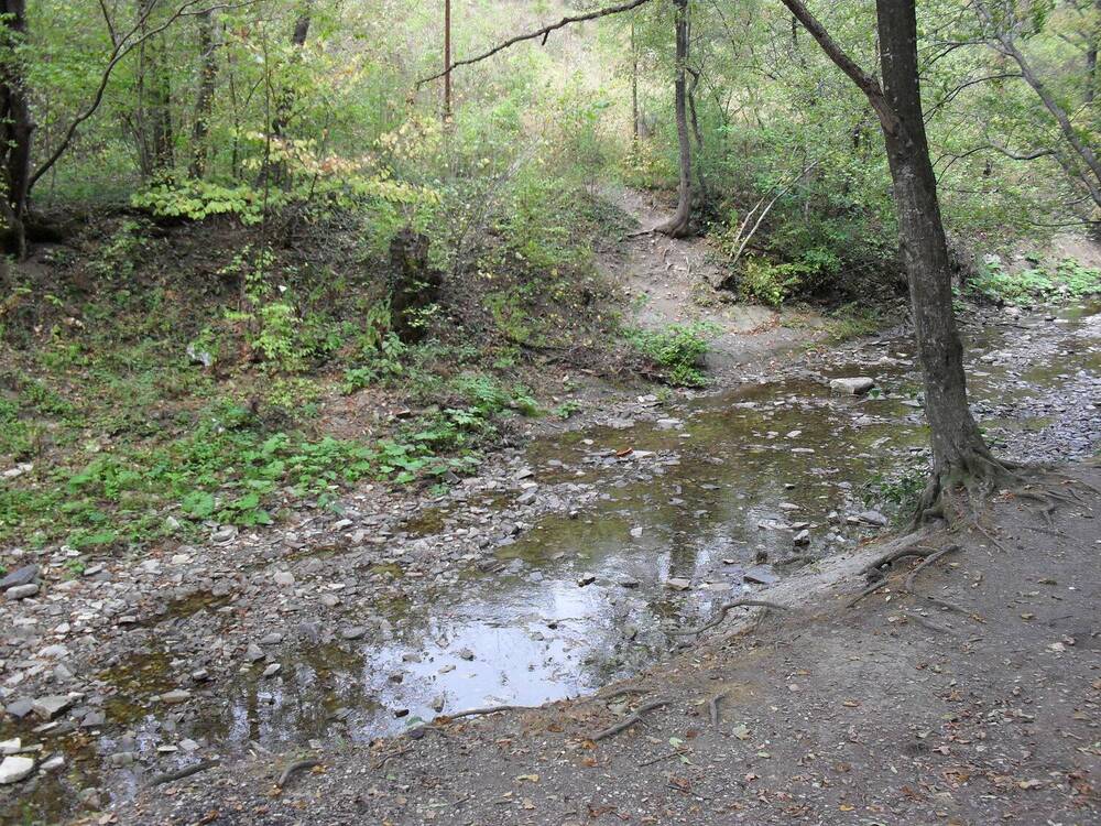 Photograph by Наталия