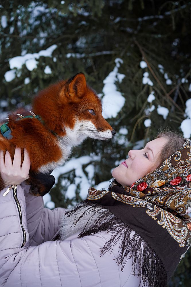 Фотография автора Ирина Кокшарова