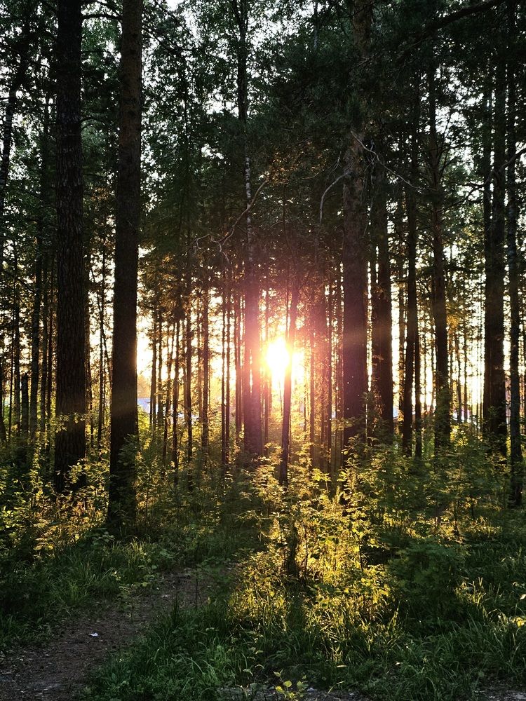 Photograph by Светлана Широкова