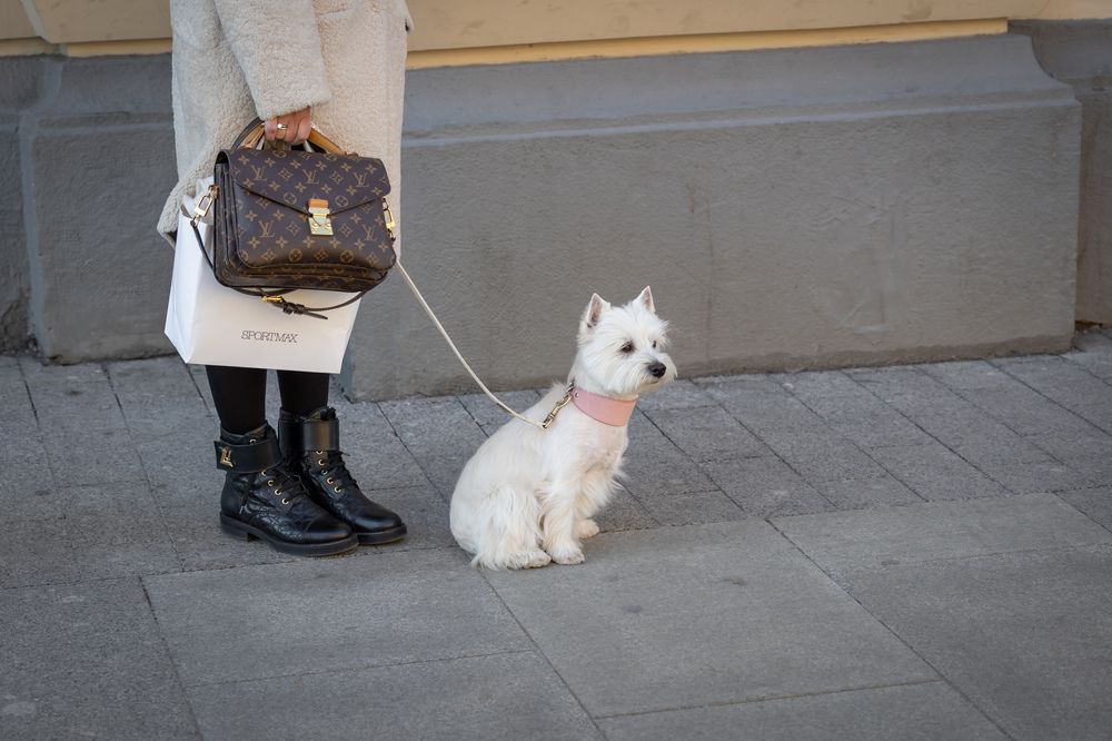 Photograph by Олег Дорошенко