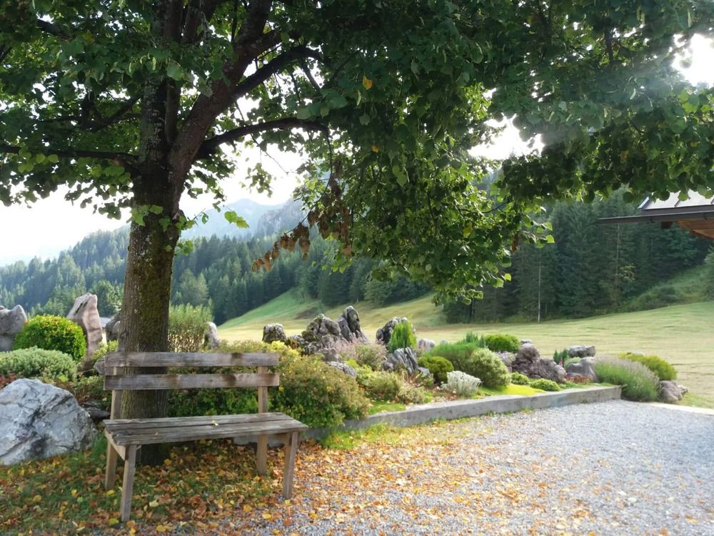 Photograph by Наталья ////////////////////////////////