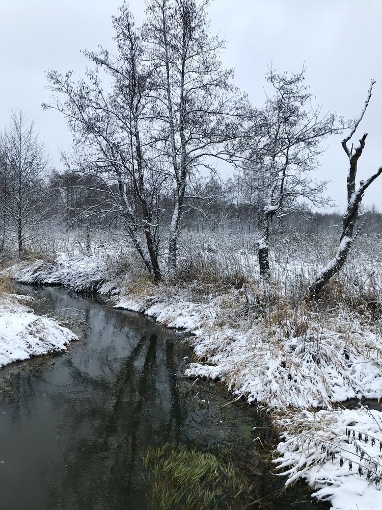 Photograph by Надежда Ткаченко