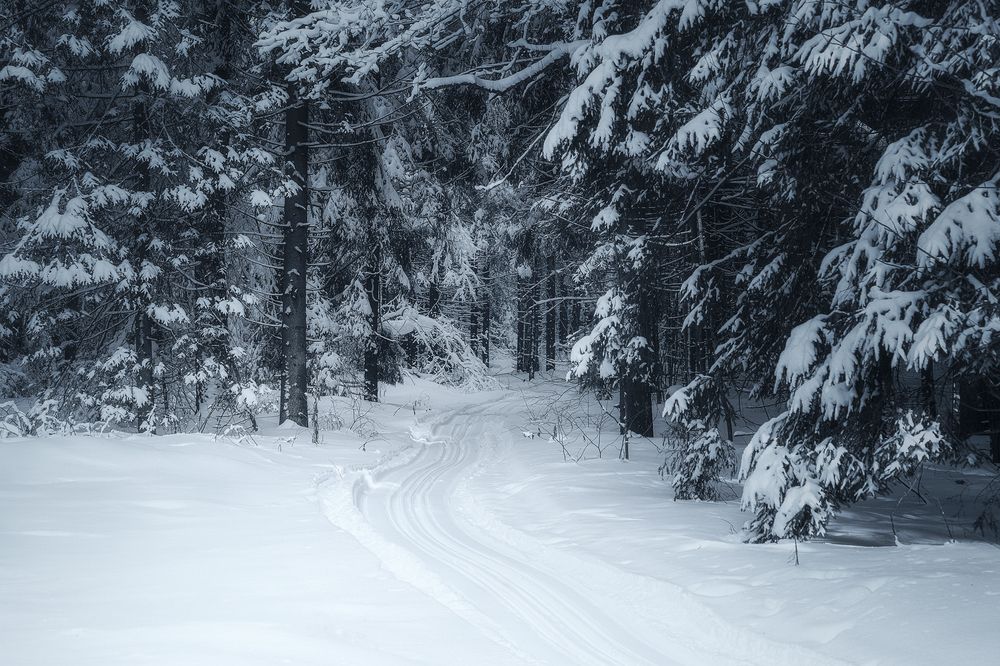 Photograph by Загруев Михаил