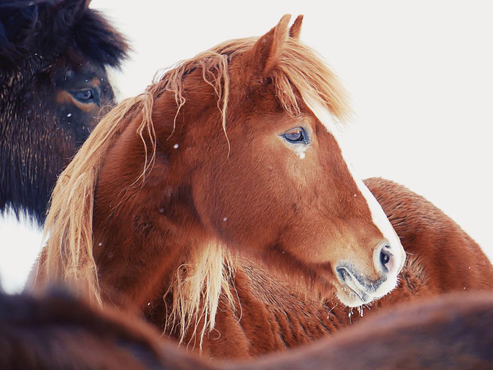 Photograph by Annie Trudel