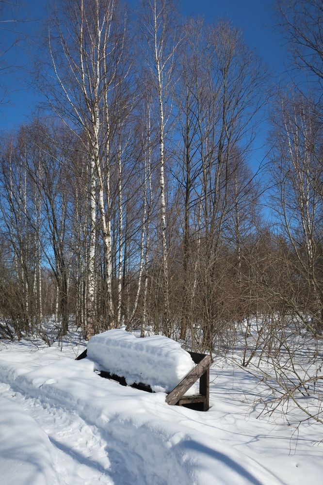 Photograph by Надежда Ткаченко