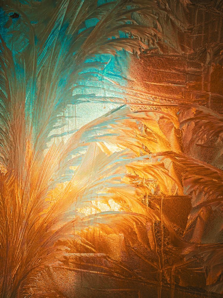 Photograph by Елена Шамраева