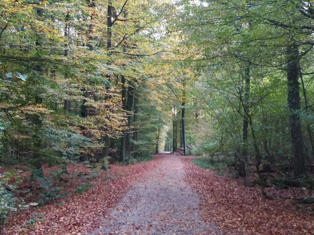 Photograph by Наталья ////////////////////////////////