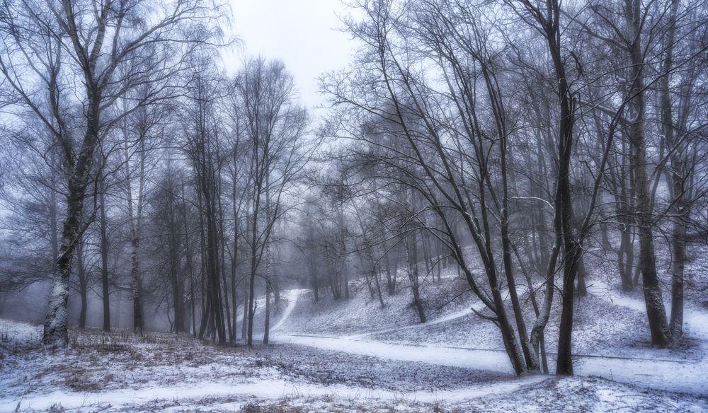 Photograph by Колесов Андрей