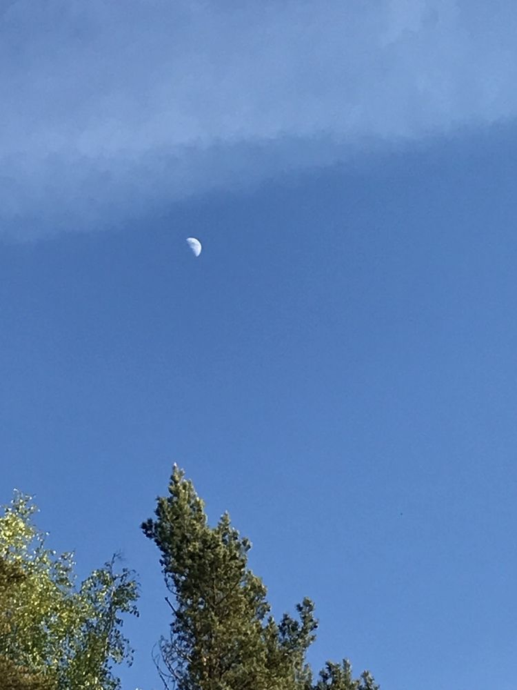 Photograph by Надежда Ткаченко