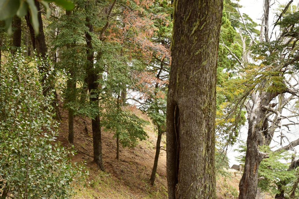 Photograph by SILVIA CLELIA AGOSTINIS