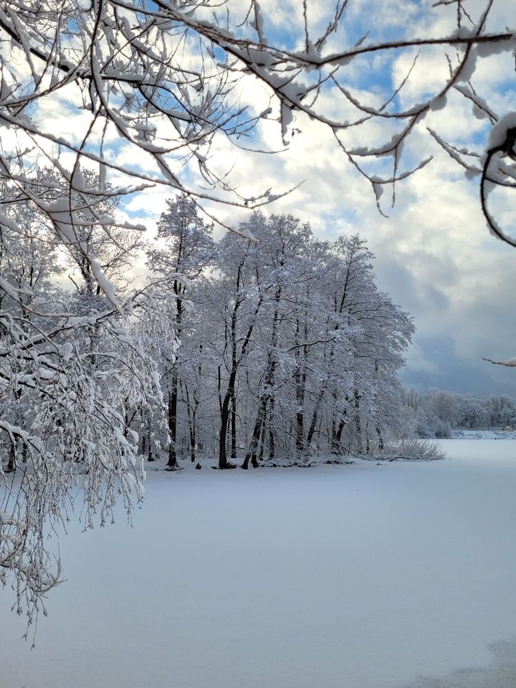 Photograph by Елена