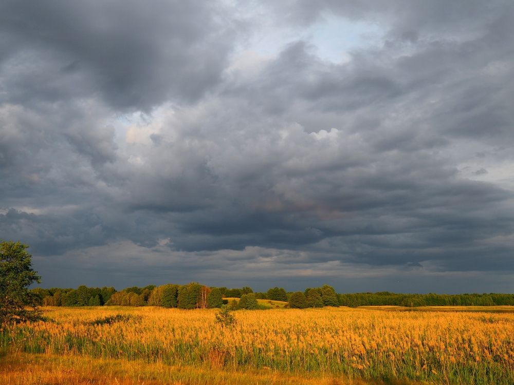 Photograph by Николай