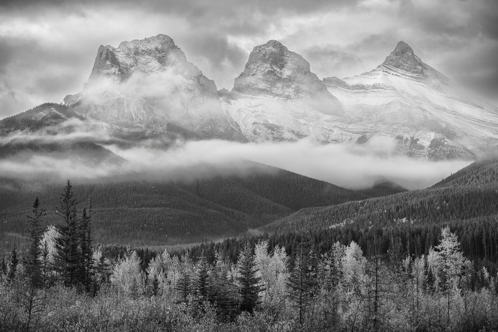 Photograph by Razvan Iliescu