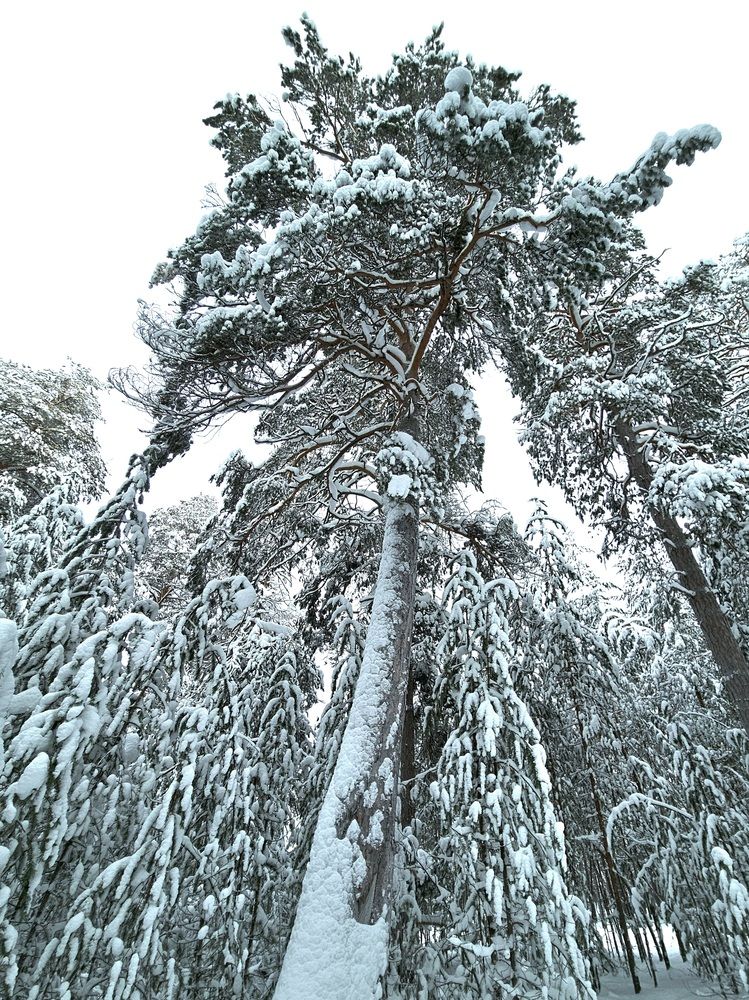 Photograph by Светлана Широкова