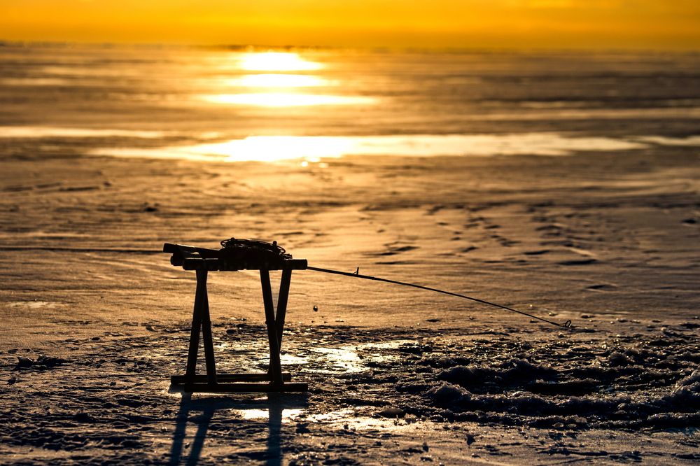 Photograph by Dmitriy Kachin