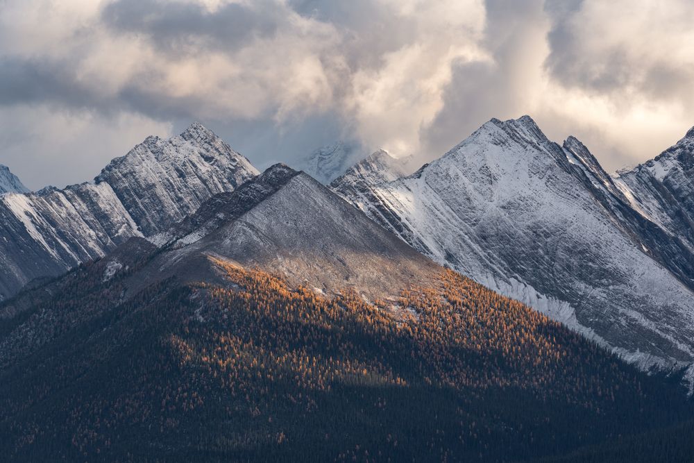 Photograph by Razvan Iliescu