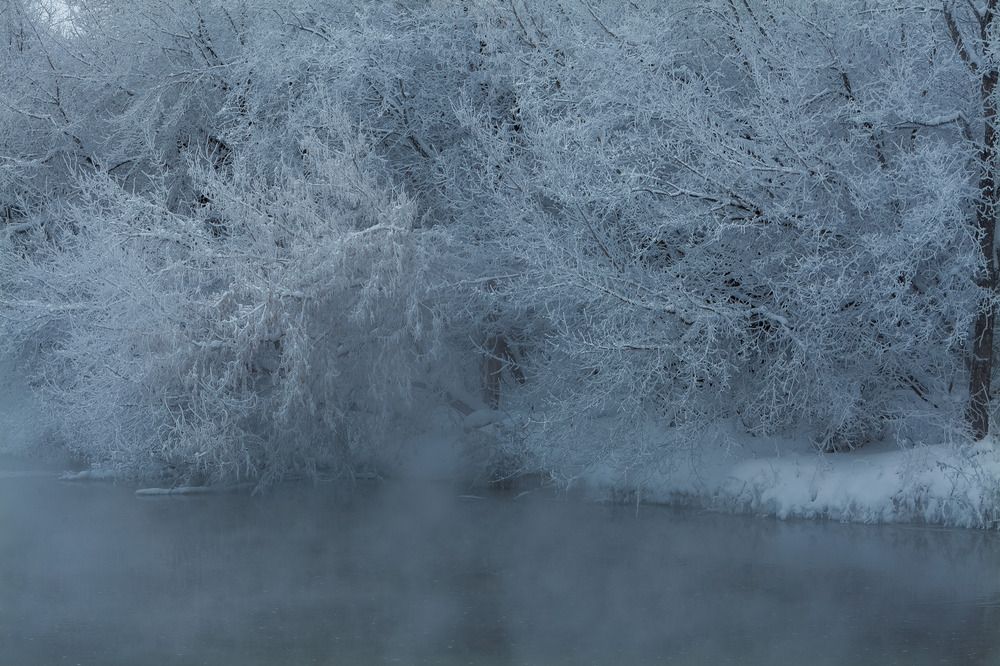 Фотография автора Олег Каргаполов