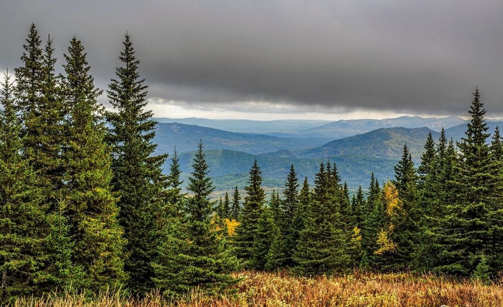 Photograph by Илфир Исламгазин